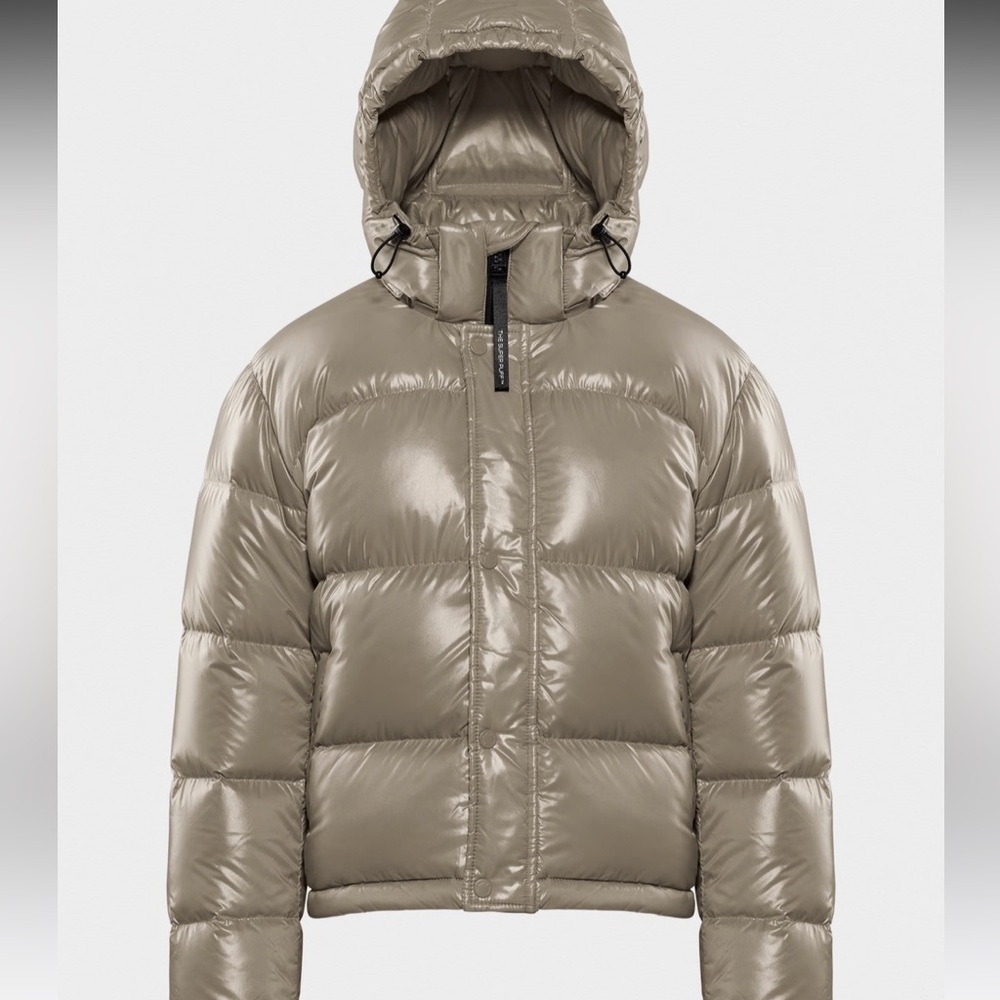 ARITZIA Hi-Gloss Supper Puff Shorty Jacket